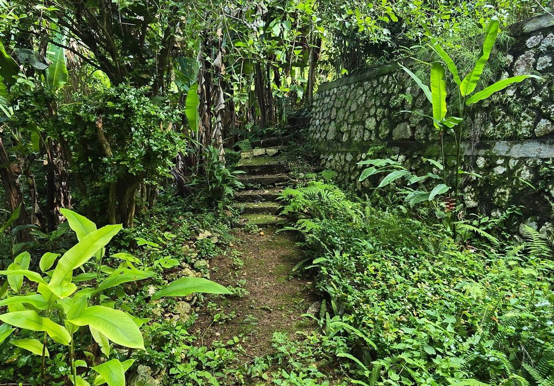 Thirteenth image of Irish Town Main Road in Irish Town P.A., St. Andrew, Jamaica - property is For Sale