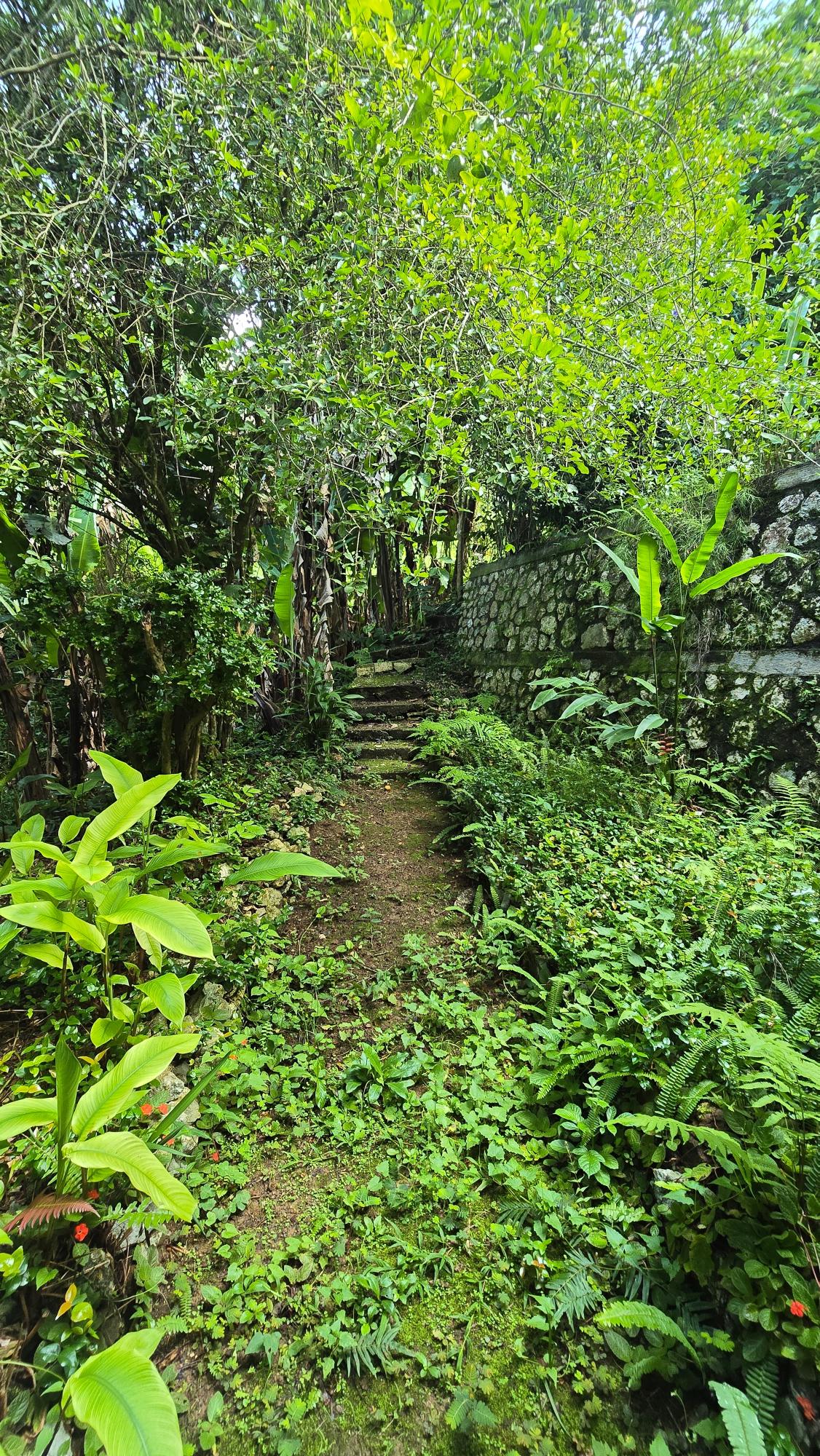 Thirteenth image of Irish Town Main Road in Irish Town P.A., St. Andrew, Jamaica - property is For Sale