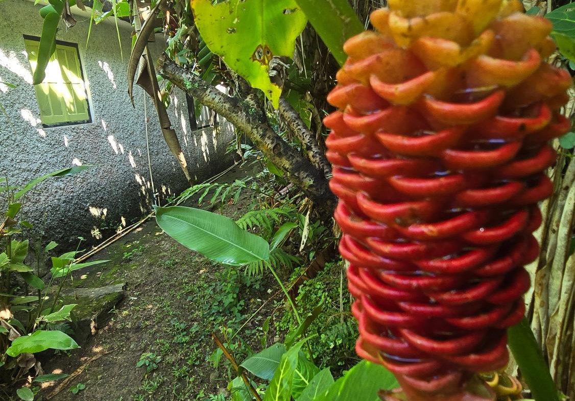 Eighth image of Irish Town Main Road in Irish Town P.A., St. Andrew, Jamaica - property is For Sale