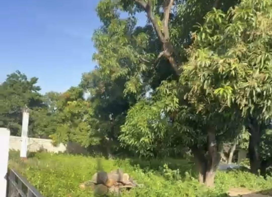 Fifth image of 8 Lyndale Avenue in Kingston 10, St. Andrew, Jamaica - property is For Sale