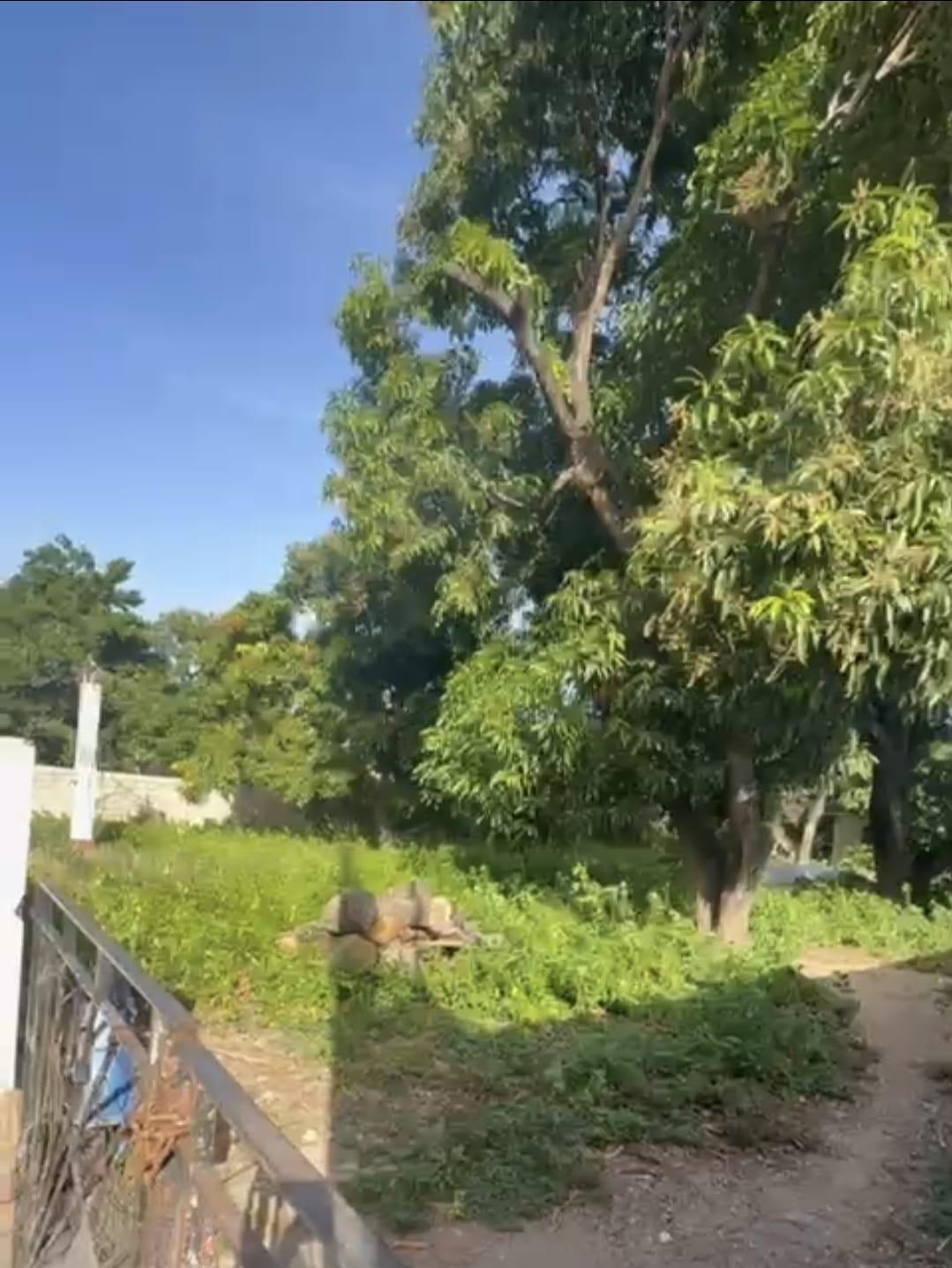 Fifth image of 8 Lyndale Avenue in Kingston 10, St. Andrew, Jamaica - property is For Sale