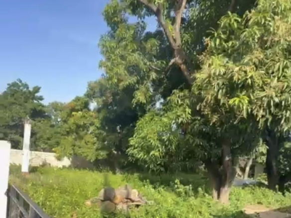 First image of 8 Lyndale Avenue in Kingston 10, St. Andrew, Jamaica - property is For Sale