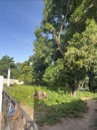 First image of 8 Lyndale Avenue in Kingston 10, St. Andrew, Jamaica - property is For Sale