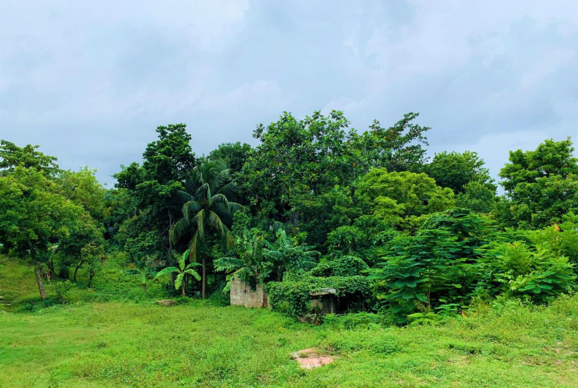 Seventh image of 76 Glendevon Road in Montego Bay, St. James, Jamaica - property is For Sale