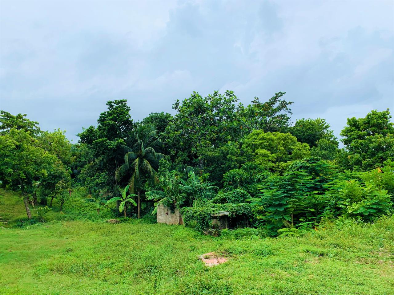 Seventh image of 76 Glendevon Road in Montego Bay, St. James, Jamaica - property is For Sale