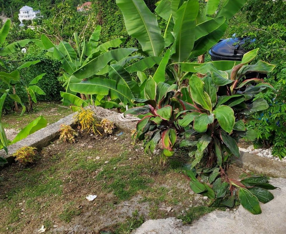 Twenty-Third image of 4 Mountain Drive, Spring va in Spring Valley, St. Mary, Jamaica - property is For Rent