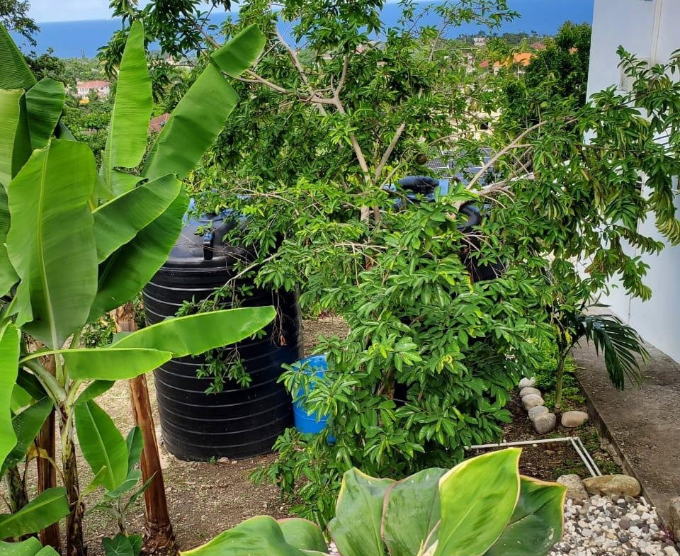 Twenty-Fourth image of 4 Mountain Drive, Spring va in Spring Valley, St. Mary, Jamaica - property is For Rent