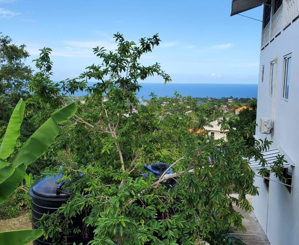 Twenty-Fifth image of 4 Mountain Drive, Spring va in Spring Valley, St. Mary, Jamaica - property is For Rent