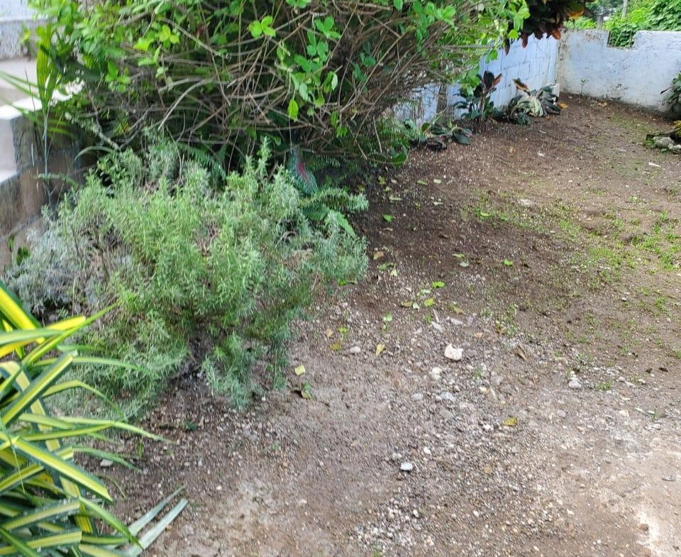 Twenty-Sixth image of 4 Mountain Drive, Spring va in Spring Valley, St. Mary, Jamaica - property is For Rent