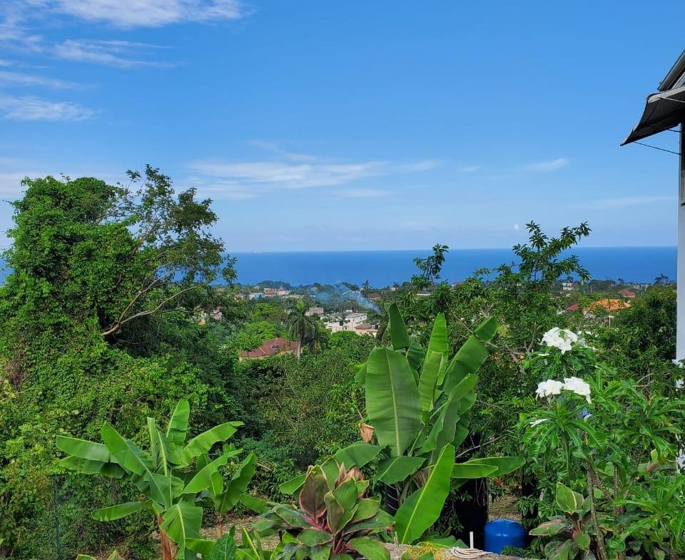 Twenty-Ninth image of 4 Mountain Drive, Spring va in Spring Valley, St. Mary, Jamaica - property is For Rent