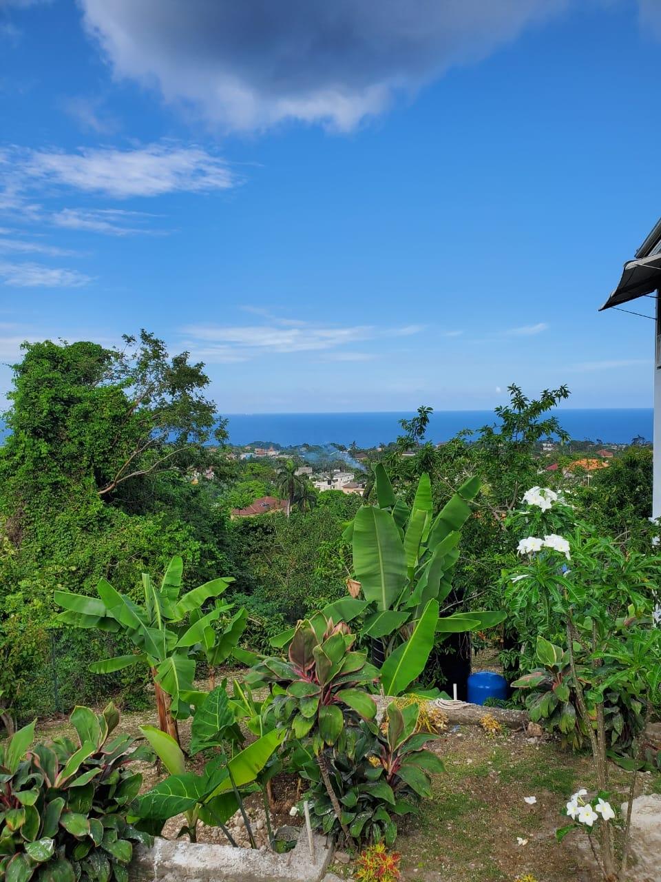 Twenty-Ninth image of 4 Mountain Drive, Spring va in Spring Valley, St. Mary, Jamaica - property is For Rent
