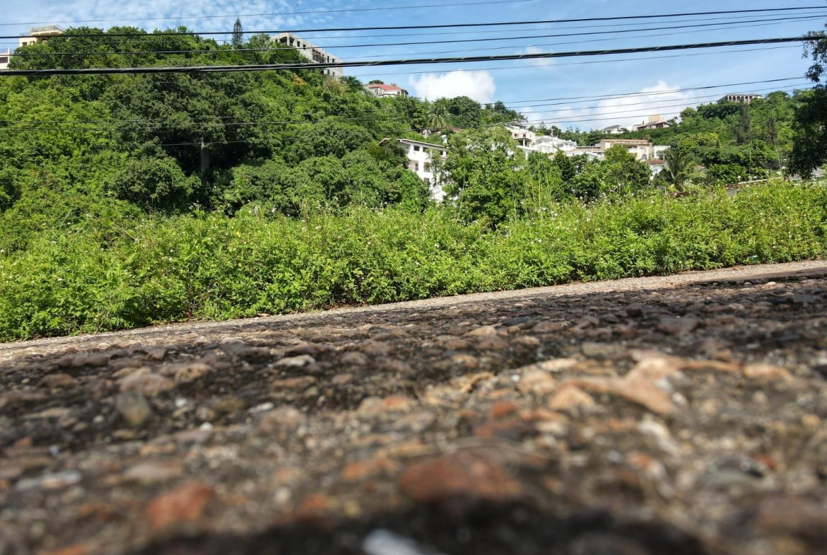 Third image of 22 Kirkland Avenue in Kingston 19, St. Andrew, Jamaica - property is For Sale