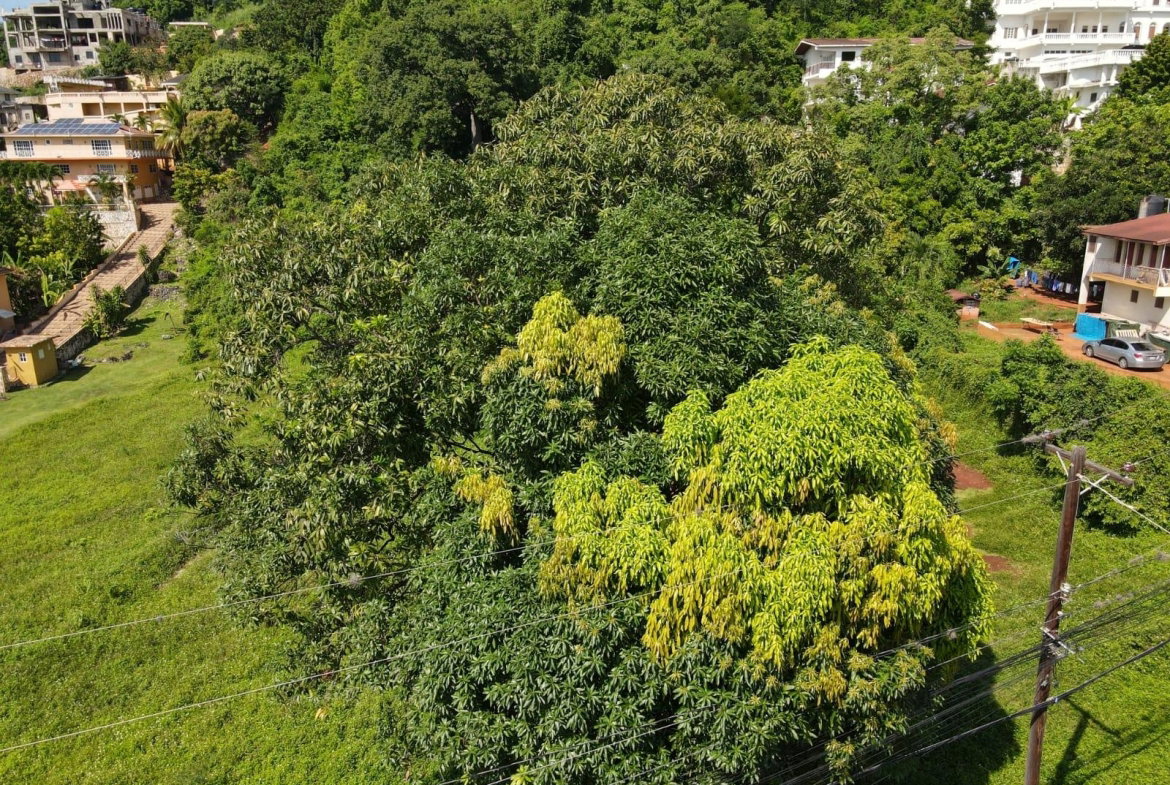 Sixth image of 22 Kirkland Avenue in Kingston 19, St. Andrew, Jamaica - property is For Sale