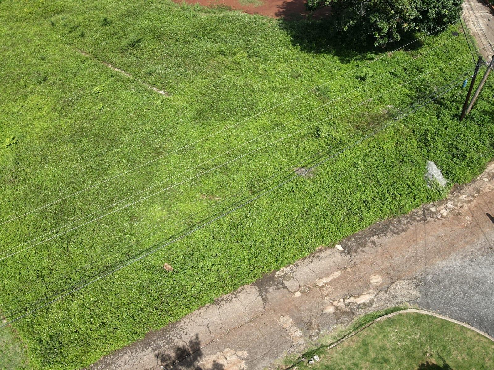 Exceptional-1-Acre-Residential-Lot-for-Sale-in-St.-Andrew-Jamaica-–-22-Kirkland-Avenue Seventh image of 22 Kirkland Avenue in Kingston 19, St. Andrew, Jamaica - property is For Sale