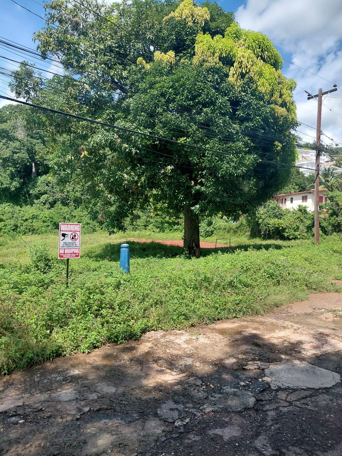 Exceptional-1-Acre-Residential-Lot-for-Sale-in-St.-Andrew-Jamaica-–-22-Kirkland-Avenue Eighth image of 22 Kirkland Avenue in Kingston 19, St. Andrew, Jamaica - property is For Sale