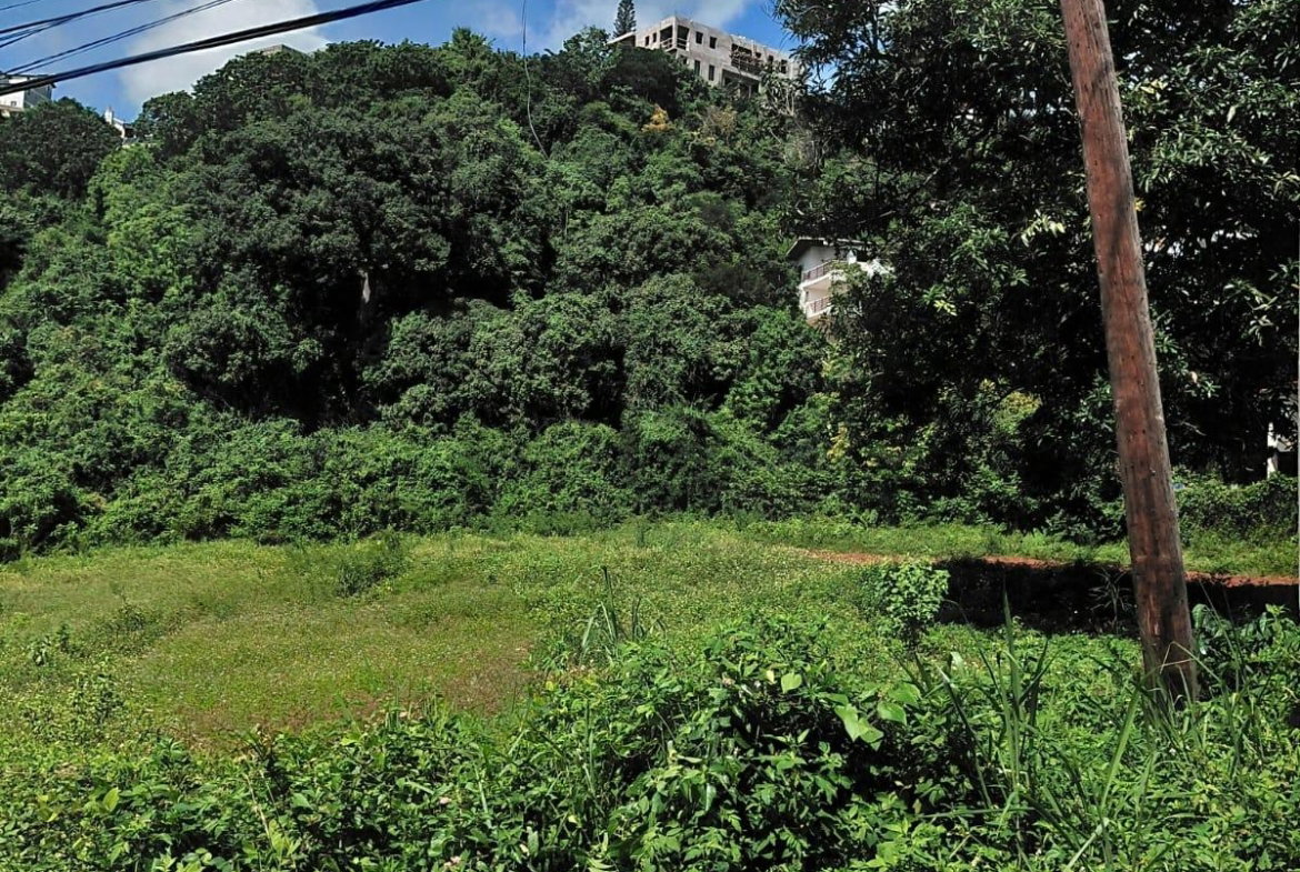 Ninth image of 22 Kirkland Avenue in Kingston 19, St. Andrew, Jamaica - property is For Sale
