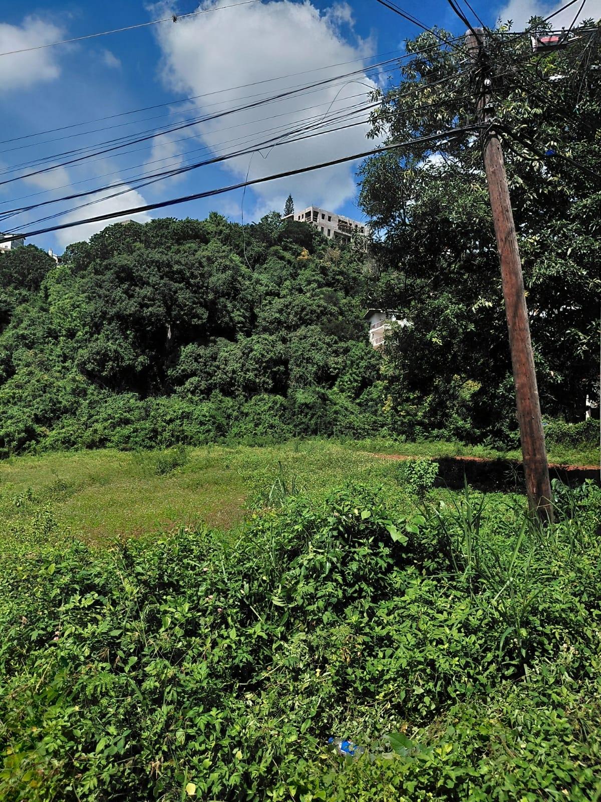 Exceptional-1-Acre-Residential-Lot-for-Sale-in-St.-Andrew-Jamaica-–-22-Kirkland-Avenue Ninth image of 22 Kirkland Avenue in Kingston 19, St. Andrew, Jamaica - property is For Sale