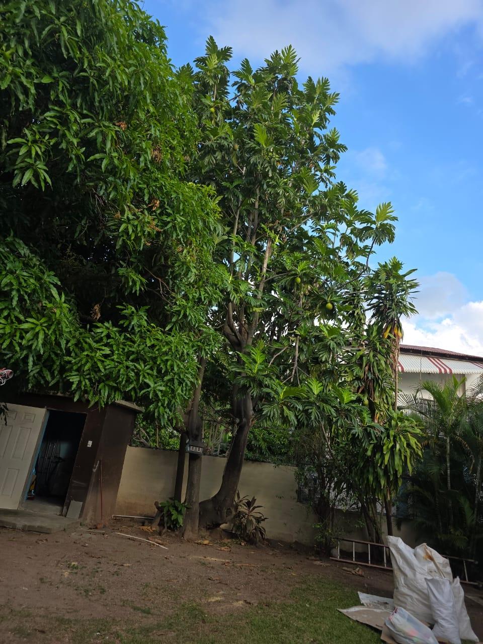 Twenty-Ninth image of 14 Idaho Drive in Kingston 19, St. Andrew, Jamaica - property is For Sale