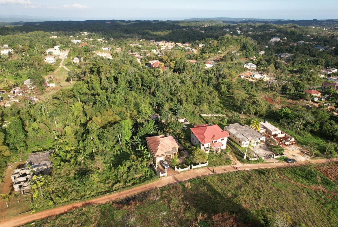 Thirteenth image of Lot 6 Cedar Grove in Mandeville, Manchester, Jamaica - property is For Sale