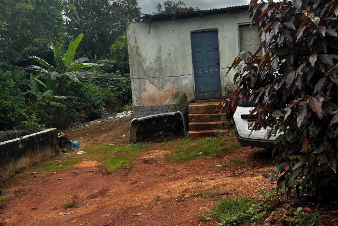 First image of Greenvale, Manchester in Green Vale, Manchester, Jamaica - property is For Sale