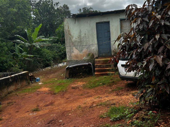 First image of Greenvale, Manchester in Green Vale, Manchester, Jamaica - property is For Sale