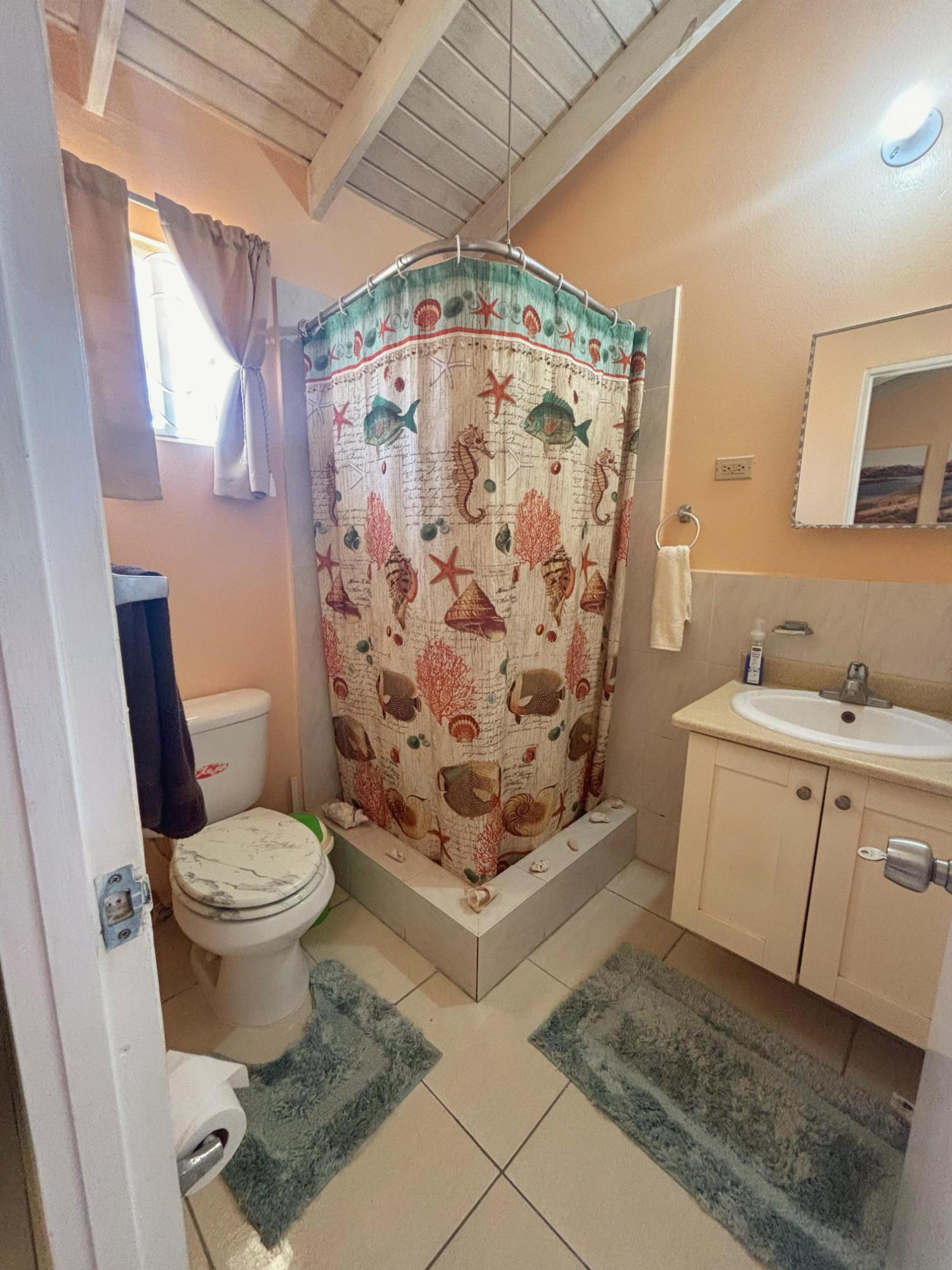 Twelfth image of 152 Coral Spring Village in Falmouth, Trelawny, Jamaica - property is For Rent