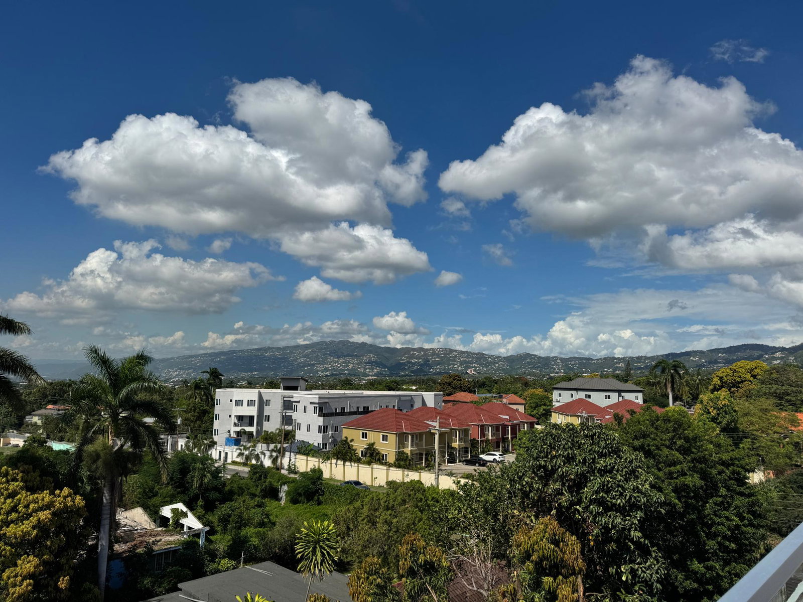 Twelfth image of 14-18 Charlemont Avenue in Kingston 6, St. Andrew, Jamaica - property is For Rent