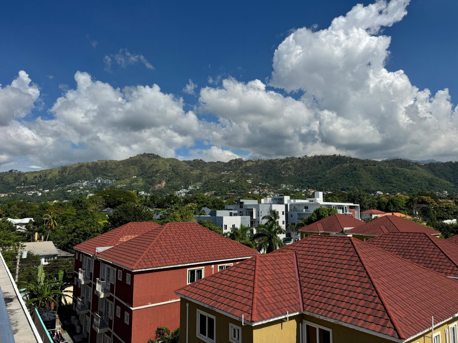 Sixteenth image of 14-18 Charlemont Avenue in Kingston 6, St. Andrew, Jamaica - property is For Rent