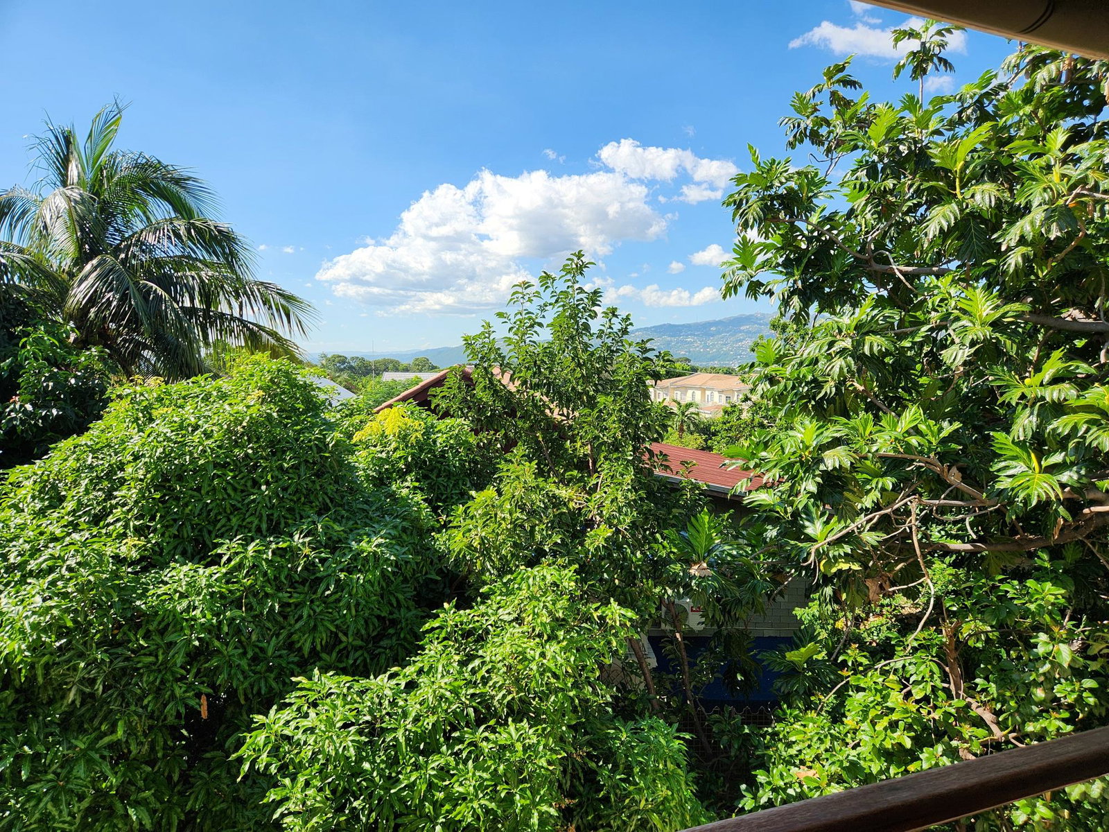 Fourteenth image of 14-1 Marley Road. Kingston 6 in Kingston 6, St. Andrew, Jamaica - property is For Rent