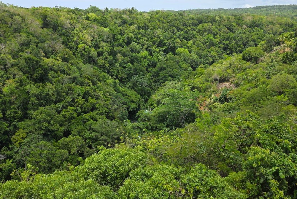 Fifteenth image of 5 Prosper Heights, Exchange in Exchange, St. Ann, Jamaica - property is For Rent