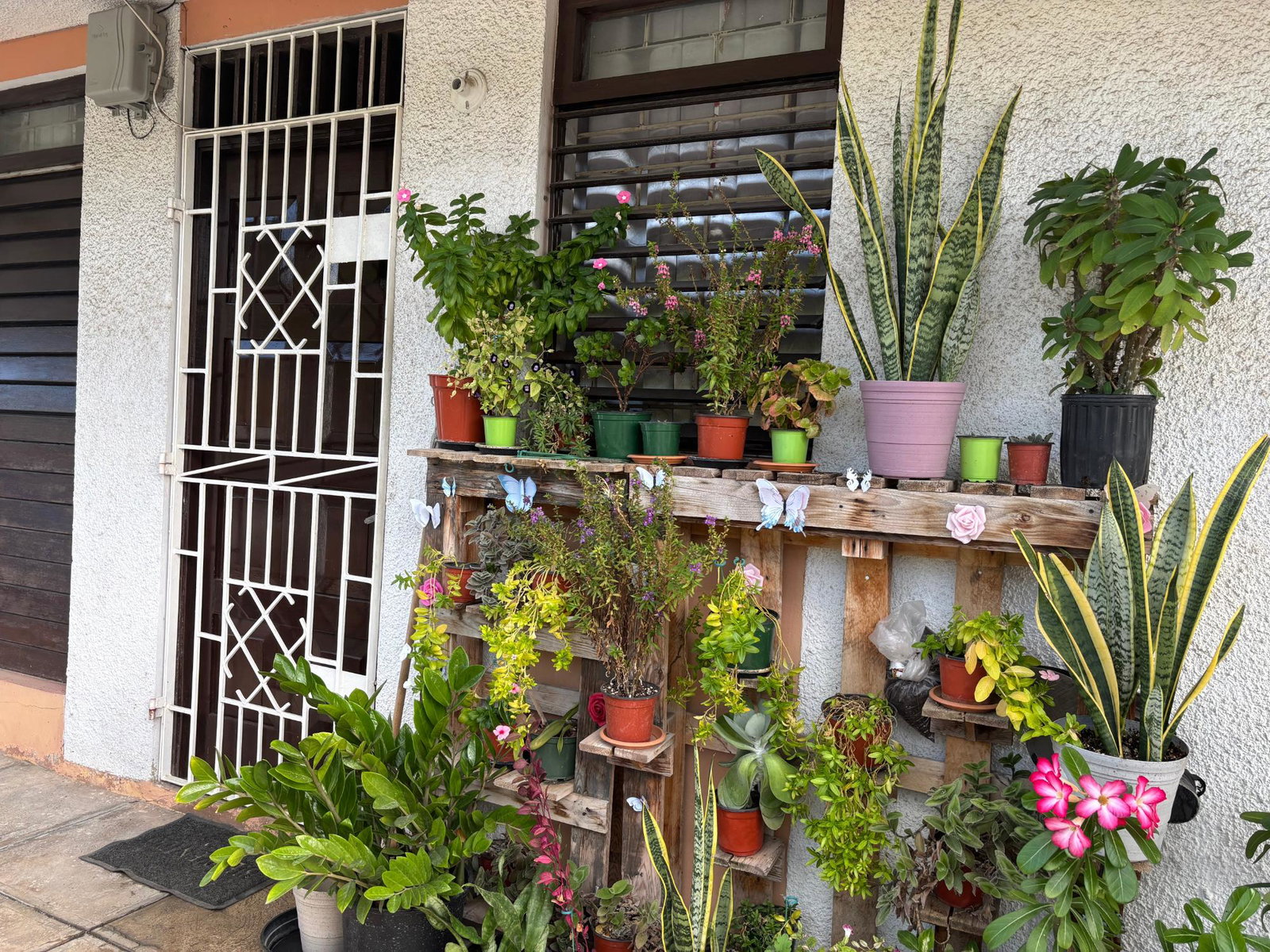 Fourth image of 15-10 Georgiana Close, Vineyard in Kingston 3, St. Andrew, Jamaica - property is For Sale