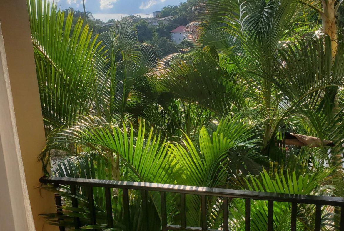 Second image of 4-7 Kirkland Close in Kingston 19, St. Andrew, Jamaica - property is For Rent