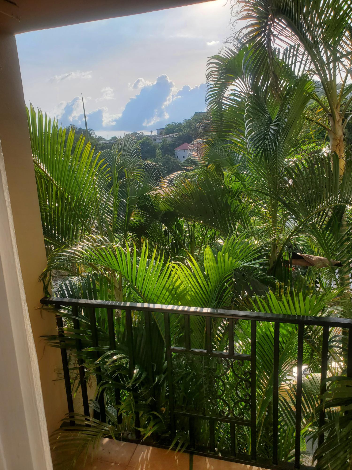 Second image of 4-7 Kirkland Close in Kingston 19, St. Andrew, Jamaica - property is For Rent