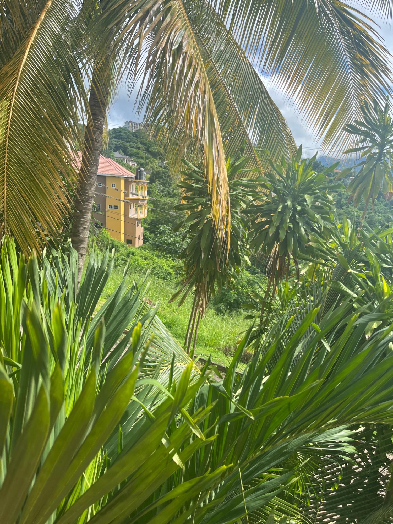 Twelfth image of 2-46 Horatio Drive in Kingston 19, St. Andrew, Jamaica - property is For Rent