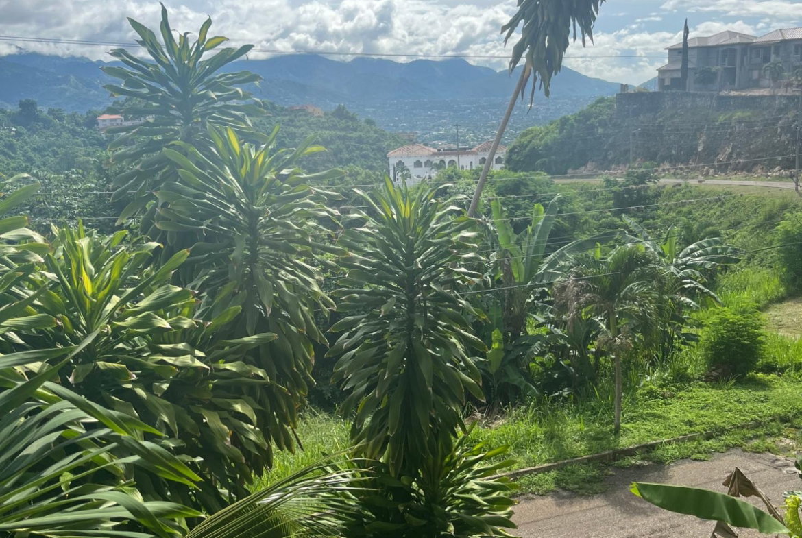 Thirteenth image of 2-46 Horatio Drive in Kingston 19, St. Andrew, Jamaica - property is For Rent