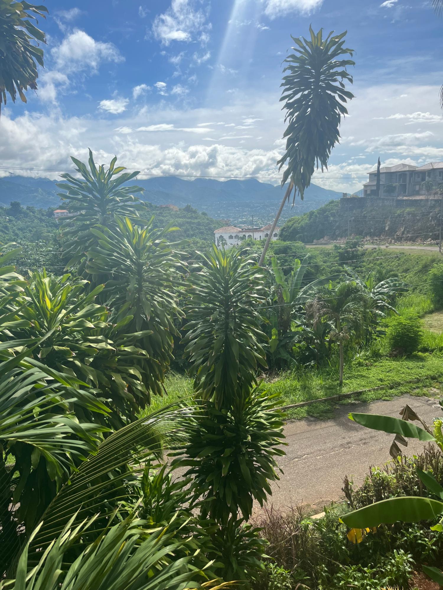 Thirteenth image of 2-46 Horatio Drive in Kingston 19, St. Andrew, Jamaica - property is For Rent