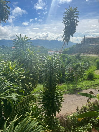 Thirteenth image of 2-46 Horatio Drive in Kingston 19, St. Andrew, Jamaica - property is For Rent