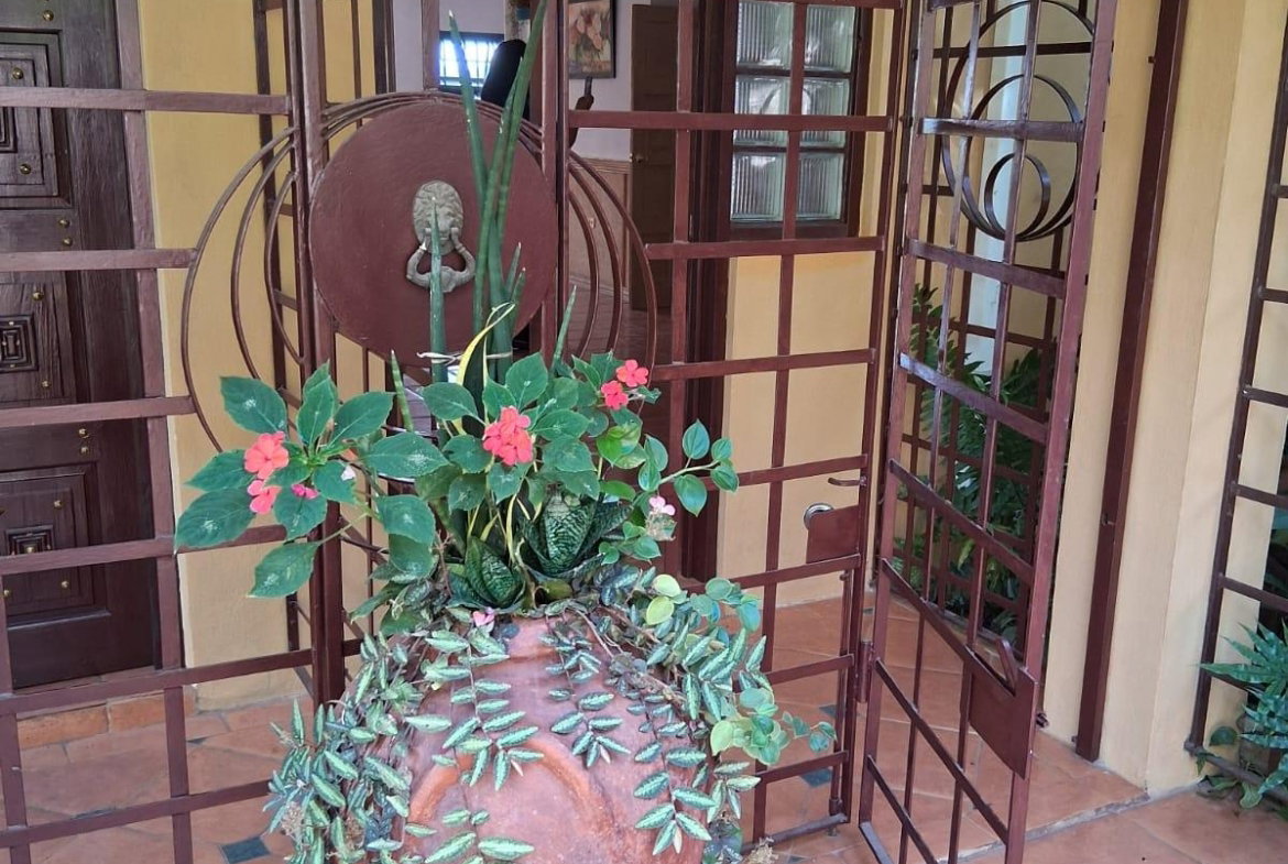 Fifth image of 2-46 Horatio Drive in Kingston 19, St. Andrew, Jamaica - property is For Rent