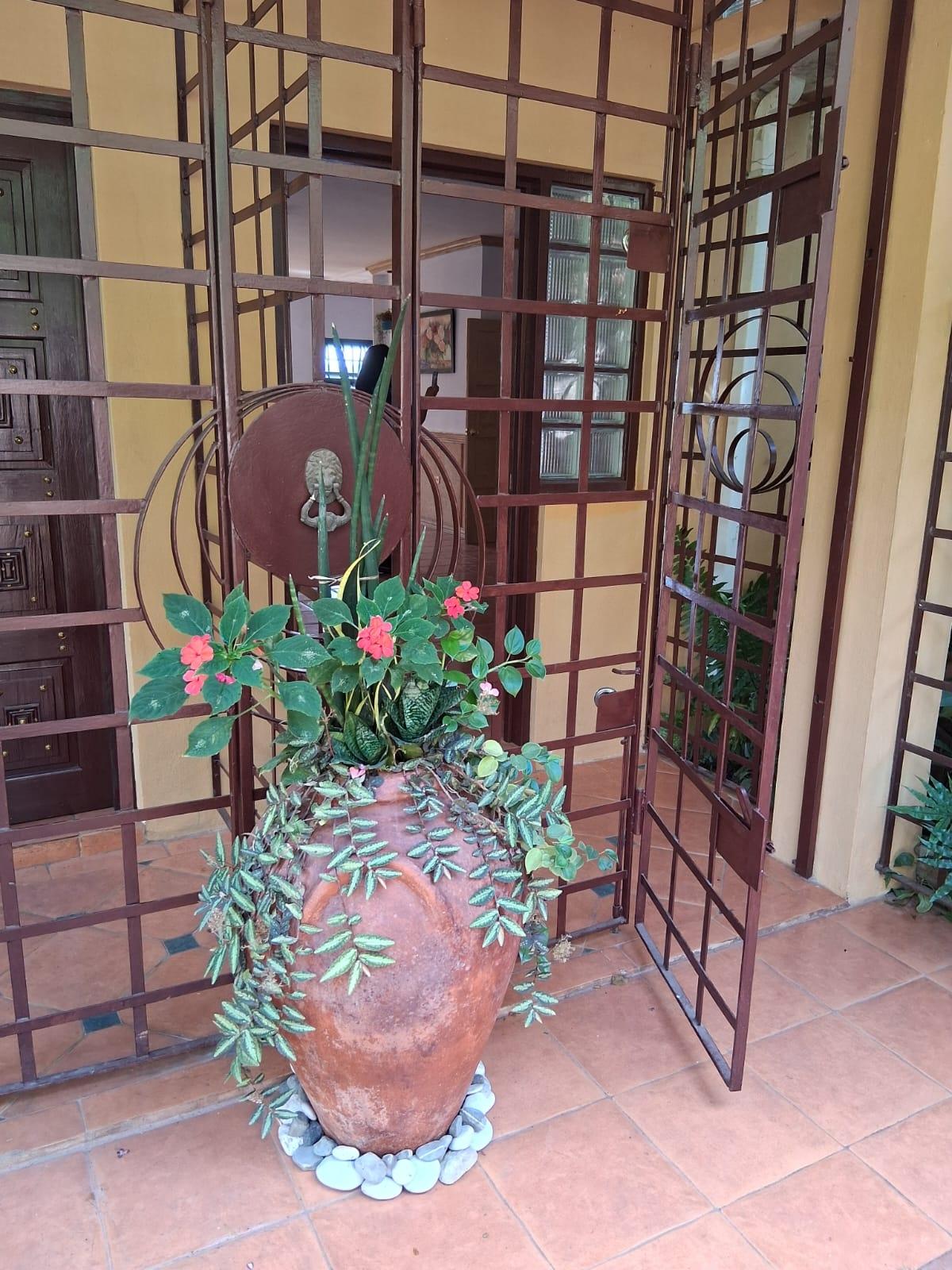 Fifth image of 2-46 Horatio Drive in Kingston 19, St. Andrew, Jamaica - property is For Rent