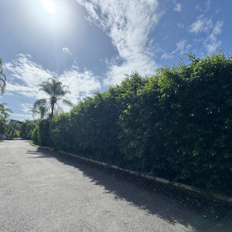 First image of 11-13a Norbrook Road in Kingston 8, St. Andrew, Jamaica - property is For Rent