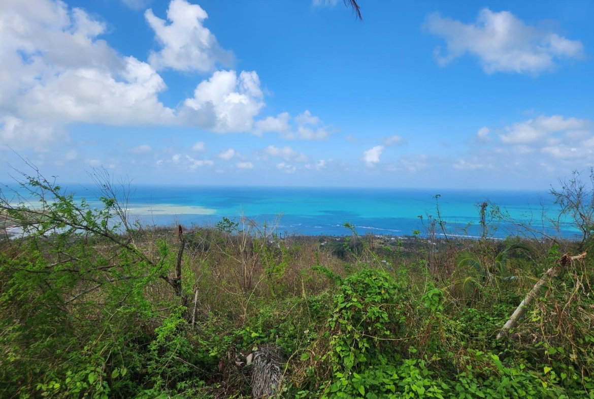Eighteenth image of Marghenia Way in Unity Hall, St. James, Jamaica - property is For Rent