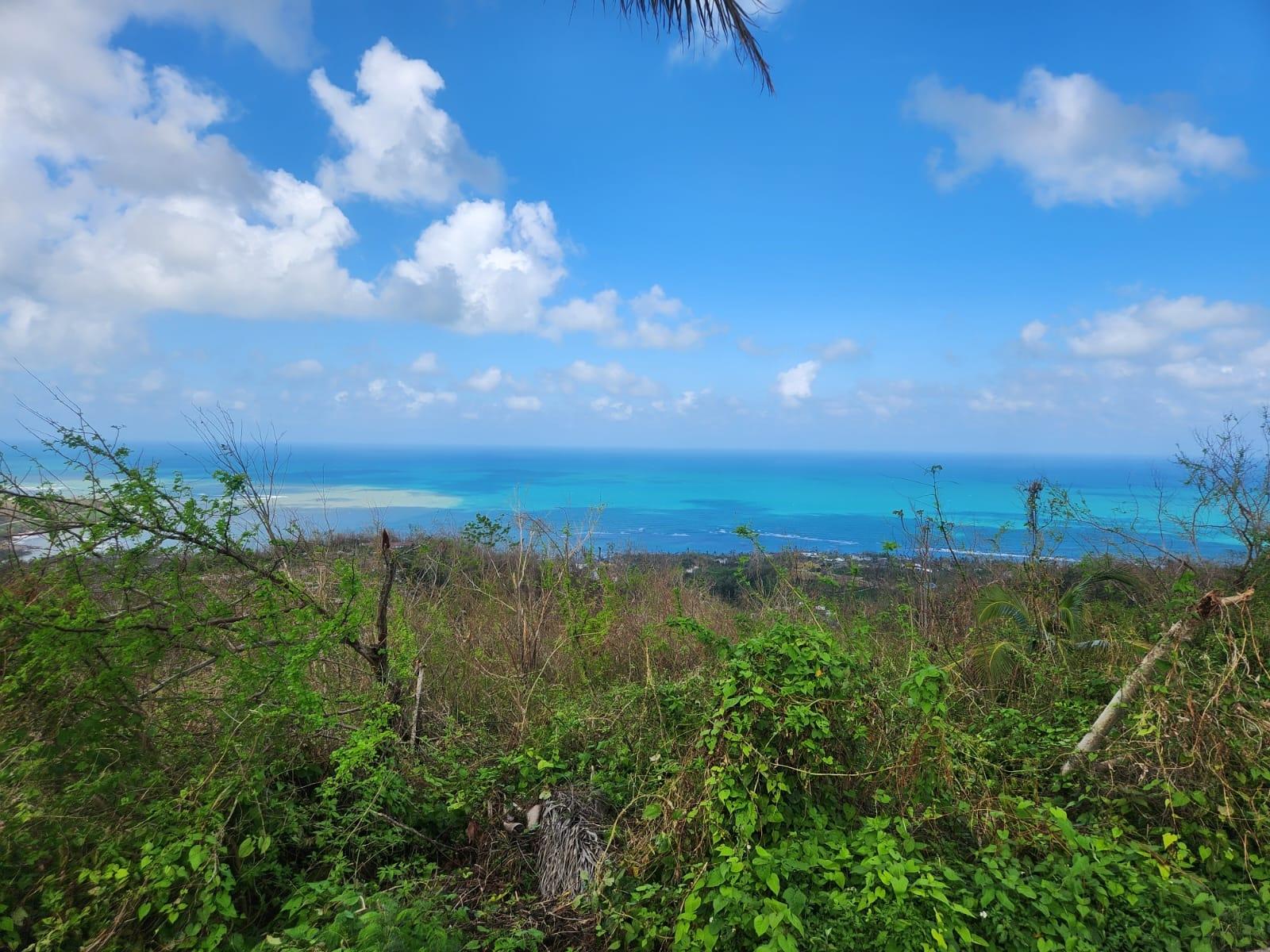 Eighteenth image of Marghenia Way in Unity Hall, St. James, Jamaica - property is For Rent