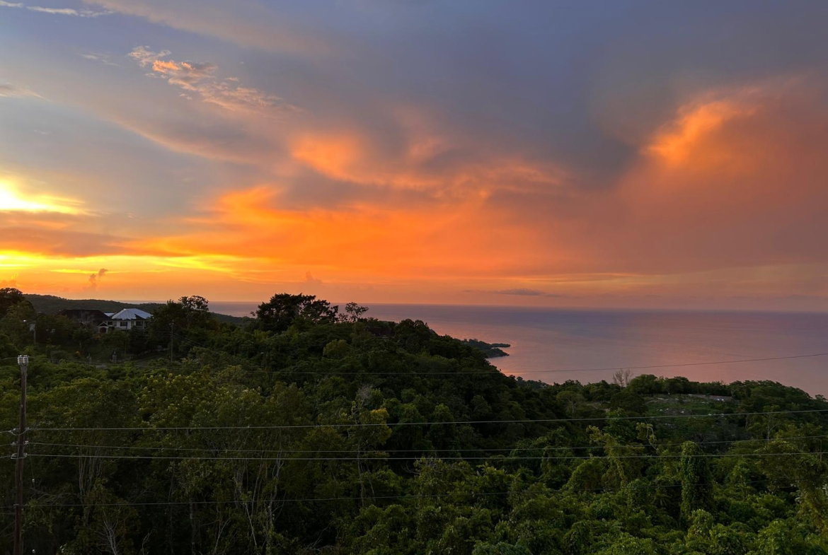 Nineteenth image of Marghenia Way in Unity Hall, St. James, Jamaica - property is For Rent