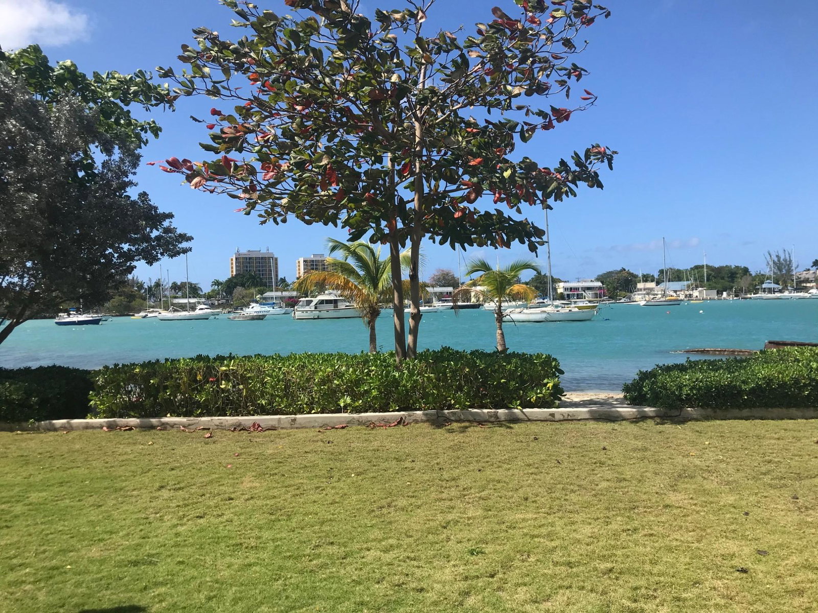 Third image of #15-b22 Freeport 22 in Bogue, St. James, Jamaica - property is For Rent