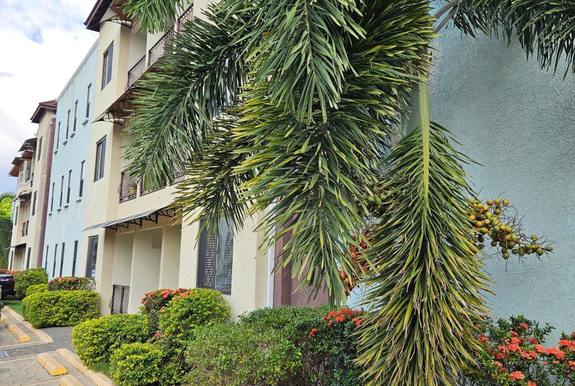 Thirteenth image of 10-4 East Avenue in Constant Spring P.O., St. Andrew, Jamaica - property is For Sale