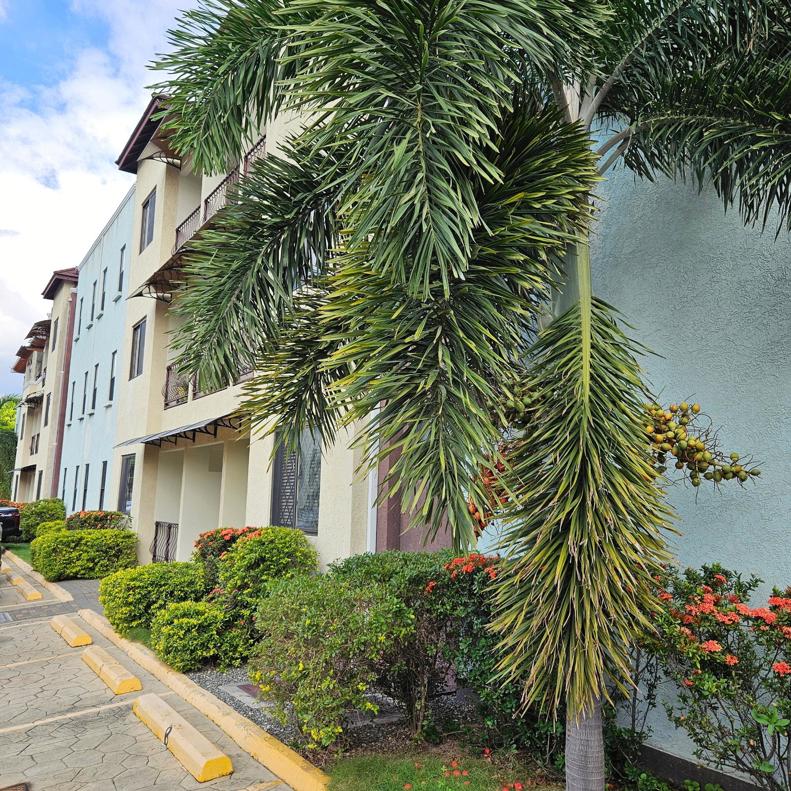 Thirteenth image of 10-4 East Avenue in Constant Spring P.O., St. Andrew, Jamaica - property is For Sale