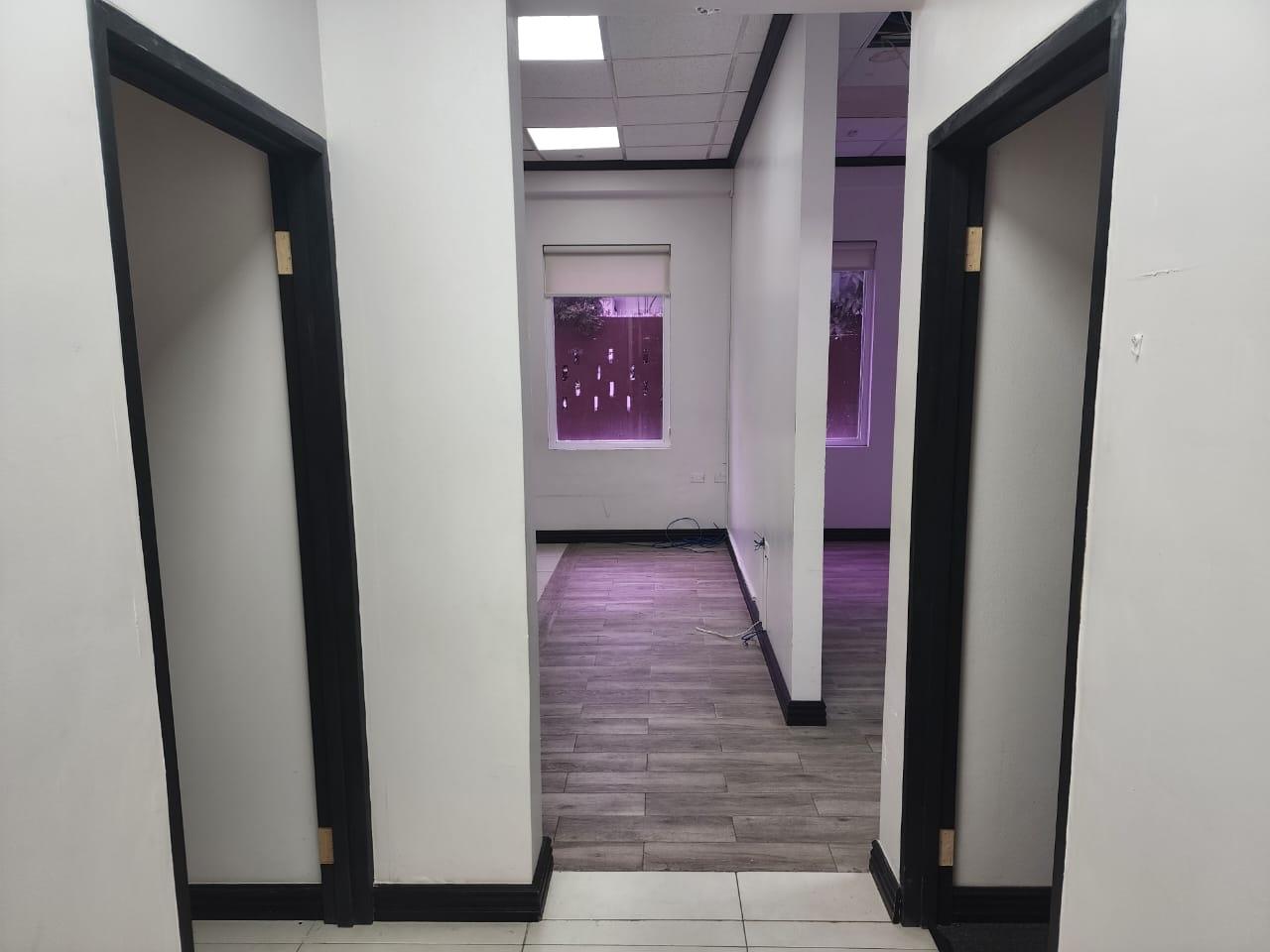 Premium-Office-Space-for-Rent-at-Fourteen-Pro-Suites-St.-Andrew-Jamaica Second image of 1-14 Canberra Crescent in Kingston 6, St. Andrew, Jamaica - property is For Rent