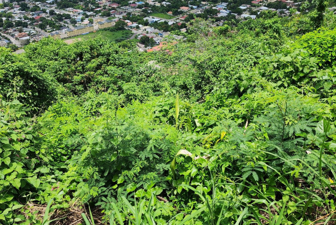 First image of 30 Throne Circle, Queen Hill in Kingston 19, St. Andrew, Jamaica - property is For Sale