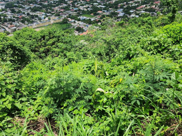 First image of 30 Throne Circle, Queen Hill in Kingston 19, St. Andrew, Jamaica - property is For Sale