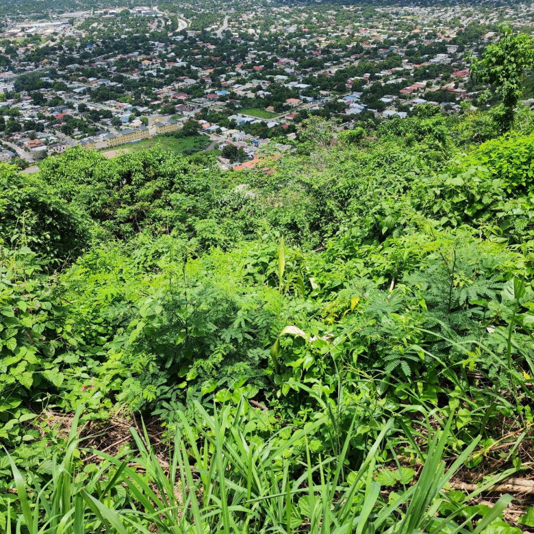 First image of 30 Throne Circle, Queen Hill in Kingston 19, St. Andrew, Jamaica - property is For Sale